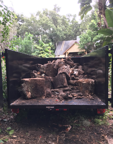 Storm Cleanup Clearwater FL Tampa FL Landscape Debris Cleanup