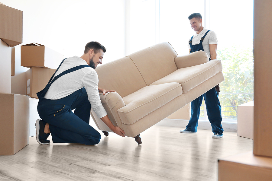 Furniture Delivery Moving Furniture Clearwater Tampa St Petersburg FL